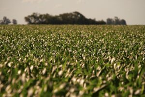 As mudanças climáticas no Brasil e a influência no setor Agro